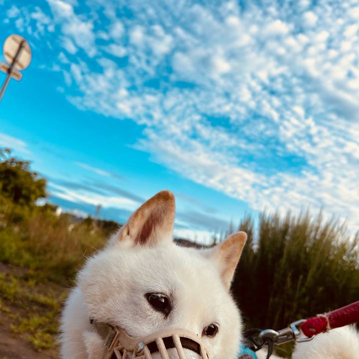 Ebc48ad7 8096 495b ad22 13b6652d8610 1754773678437