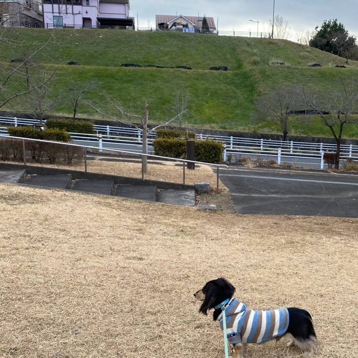 Ebc4a3fd 6e04 47ae 992a ee23748cb895 1735953950010