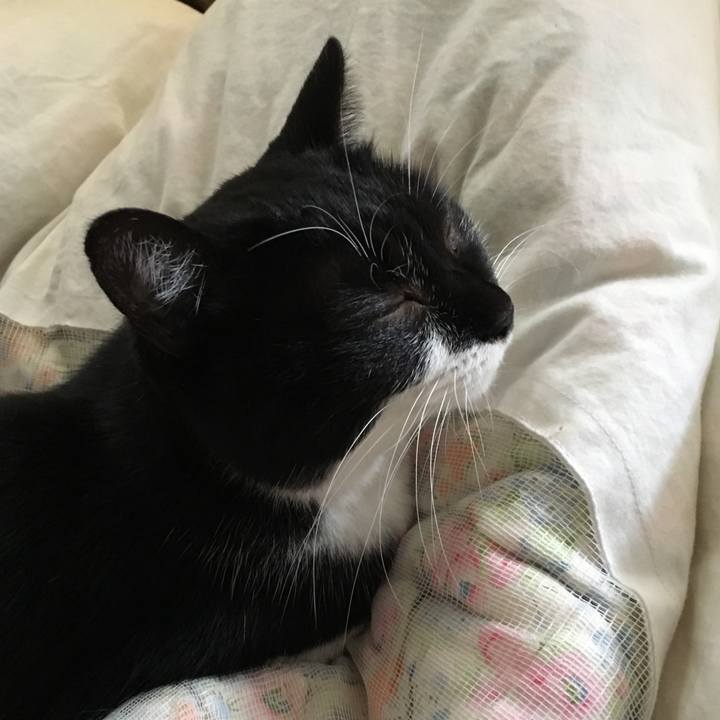 Ebc5071d dbef 4bf0 97e7 c0c437aa8066 1510973570551