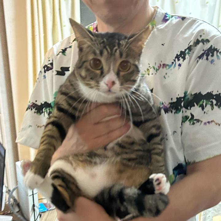 Ebc51420 7a3b 4a33 8a23 5d17ca0d06f0 1758289011269