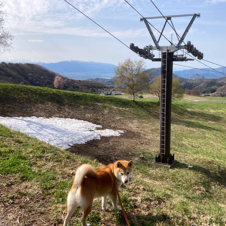 Ebc51d45 545c 44dc b7e2 5ab918dde728 1714014265269