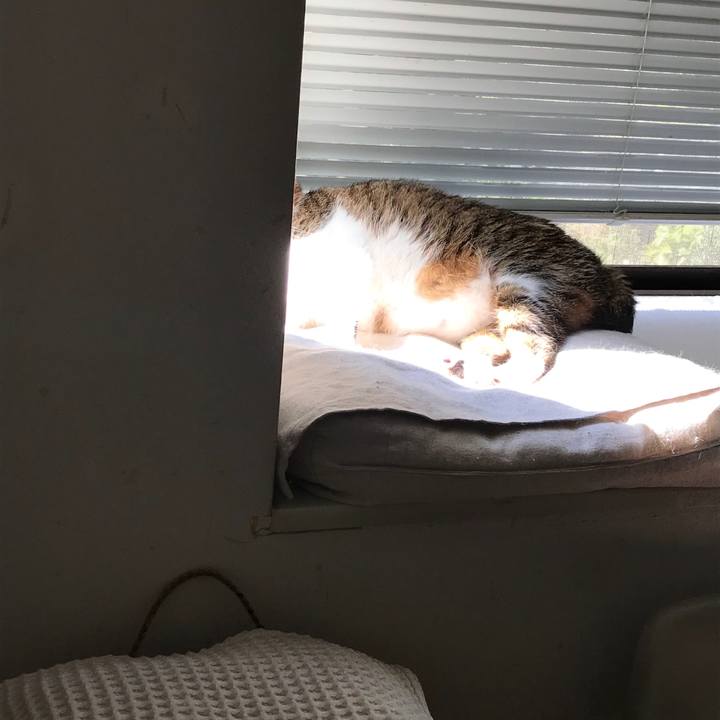 Ebc51dea a4ea 48fd 82e5 b0f413fa3a38 1597451608632