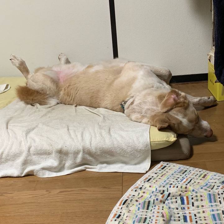 Ebc51f88 6172 48a6 8898 0532f3b0bc52 1560172463389