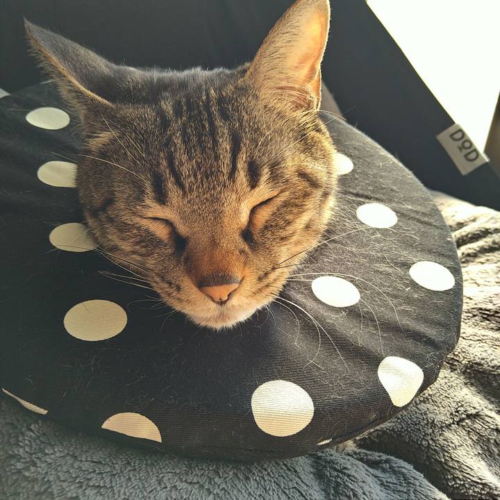 Ebc52341 5297 4af8 8fab 79ba0920835c 1740894659622