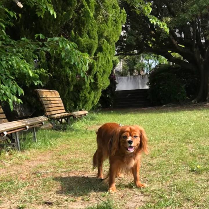 Ebc547b7 5629 4870 a149 ef913588266d 1588640534043