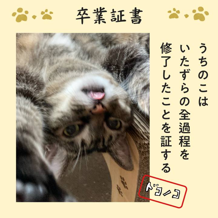 Ebc575c5 9c8b 4c34 9be9 5a01d169362a 1771844958820