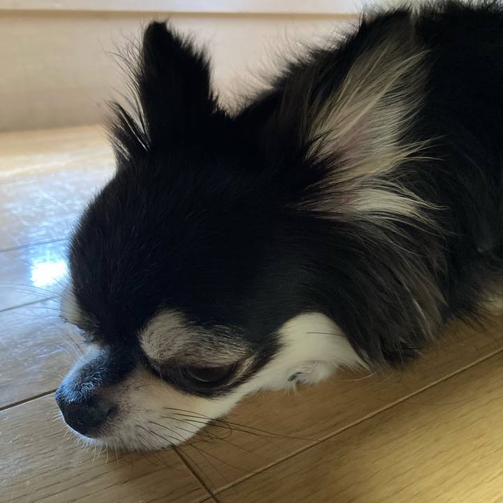 Ebc5ebc1 bdd7 42a3 beb5 235c43f2012f 1659238554542