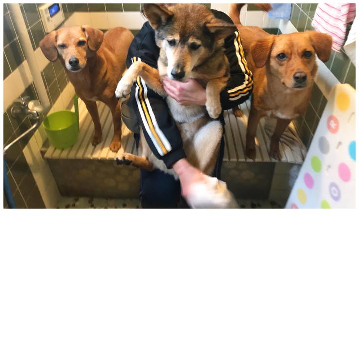 Ebc60ac1 f0b3 4c6d 9694 a1786bc83768 1551691885497