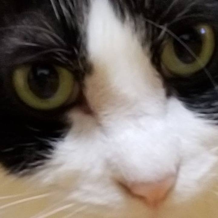 Ebc61e76 29c0 4a89 9772 e0a807902140 1559393167547