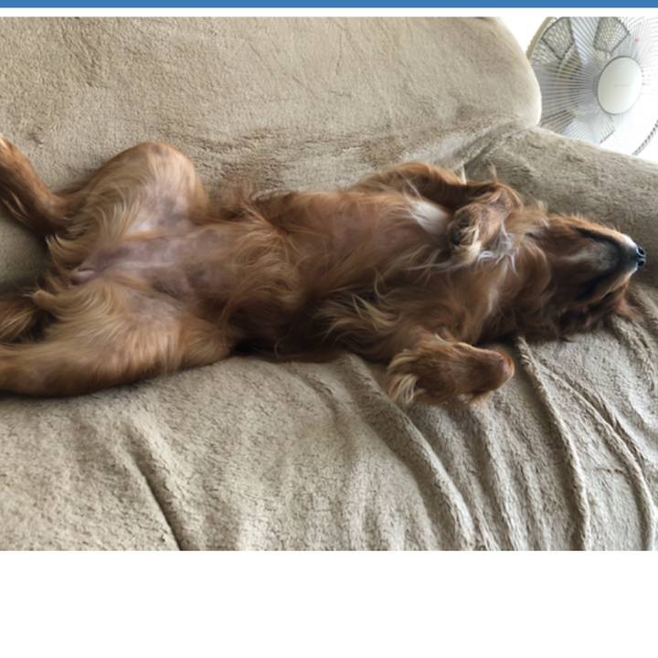 Ebc6237e 57e5 4e85 9d06 fa70d7bc1c61 1558768636840