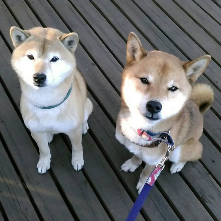 Ebc66bf9 6077 47bc a1ad dfc5bf74f37a 1548315060809