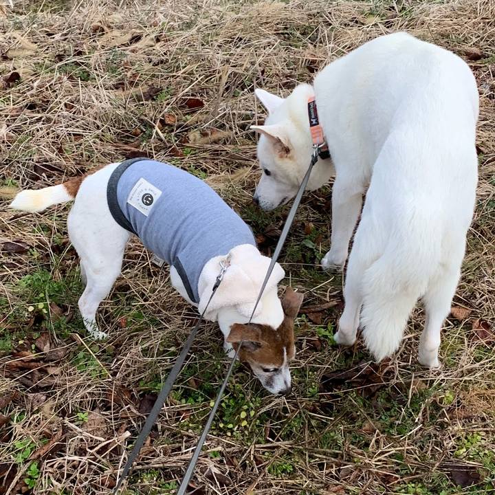 Ebc6741d dcf3 4cdd 9d12 00782db8852a 1578807052064