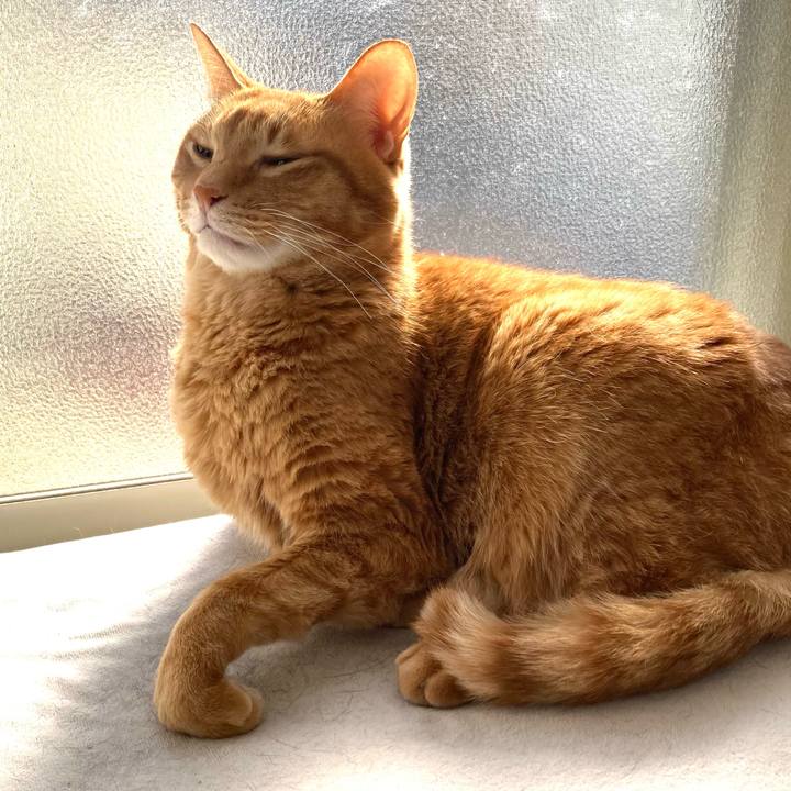 Ebc6910a c624 4a06 b0ee b9f0ba420fb6 1772674733938