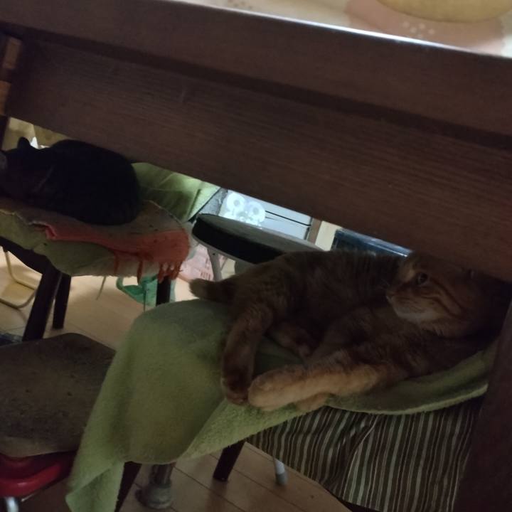 Ebc6bb63 3681 40ab a35b dd98beef56b6 1765521990387