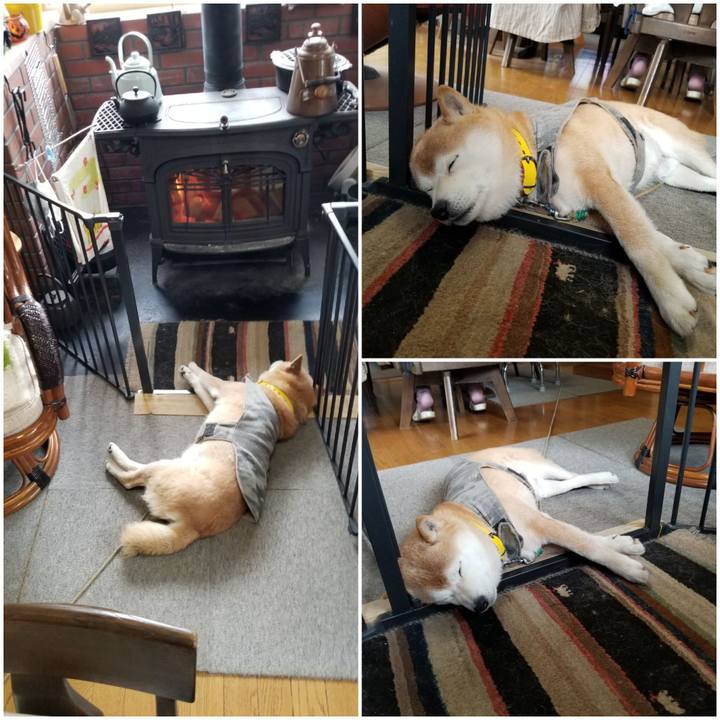 Ebc6c8cf ffe9 4196 a57a 87bc402145ea 1677282951032