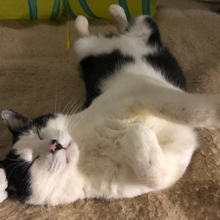 Ebc6f526 456e 4baa 999f 6542833417d7 1548613483839