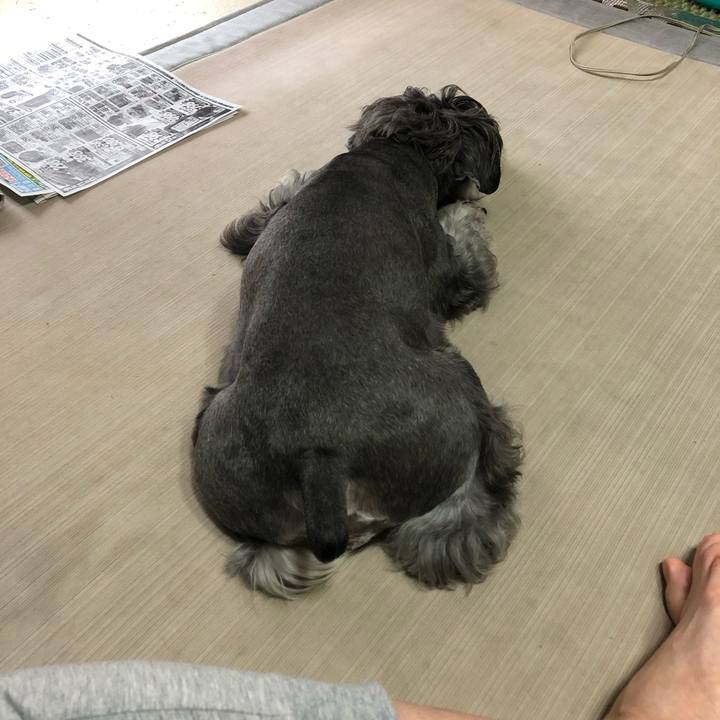 Ebc77332 b5bf 4b38 beca c82ed8e9052d 1631321408636