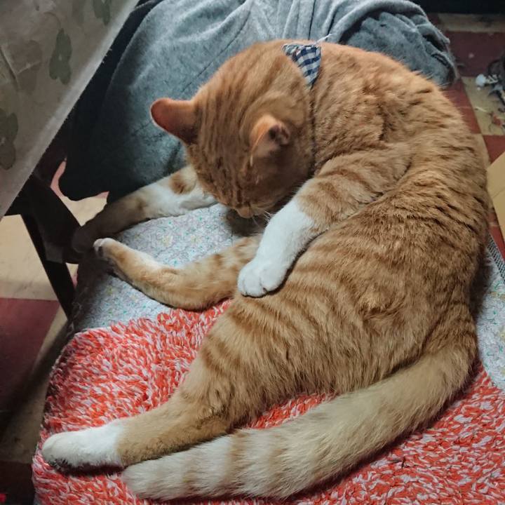 Ebc78d4c b0ce 4d01 a94d fadde02eb2e7 1574479933572