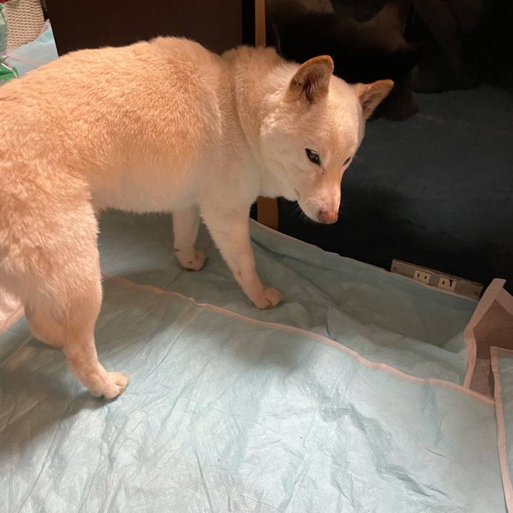 Ebc80442 12de 48aa aabb 562164bbc12d 1634217259509