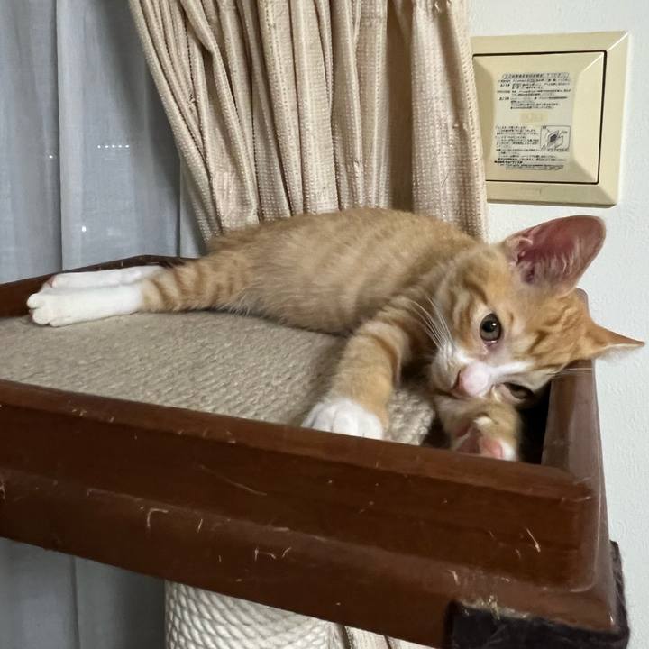 Ebc82fb7 1f87 409c 9e07 41bd194a76ea 1790175560453