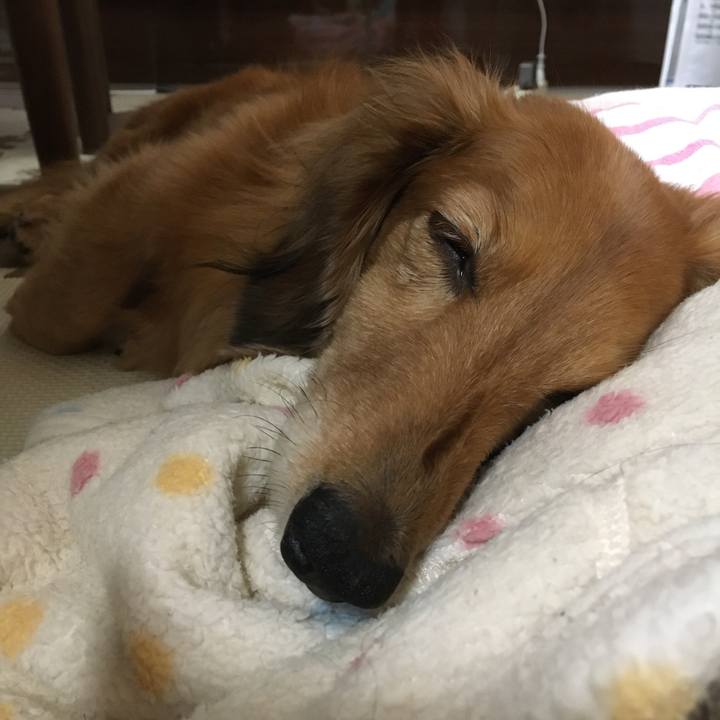 Ebc83702 c630 4387 b7ad fb3d665772a7 1607956850846