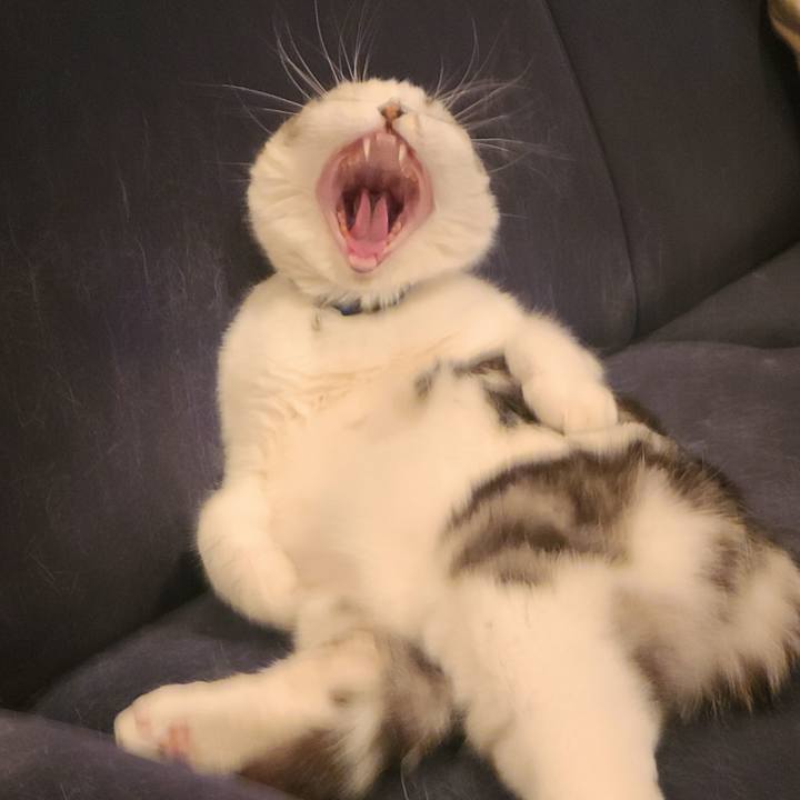 Ebc85c2a 8c34 49e0 bed7 fc6ac71676af 1713947108829