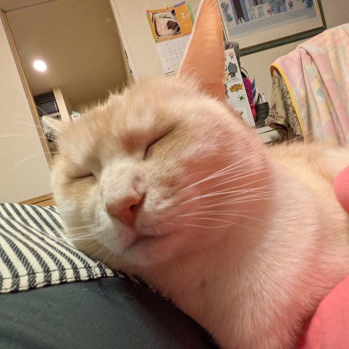 Ebc88112 a7f2 4433 92b8 36243d3ca8bf 1740301996600