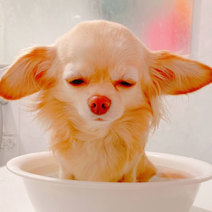 Ebc8a42d cb2e 445f 9c40 1b1646878028 1643097594173