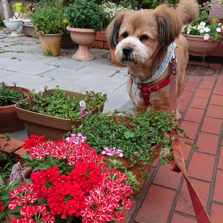 Ebc8ece3 2e33 4023 ad87 7db255643f04 1559081018956