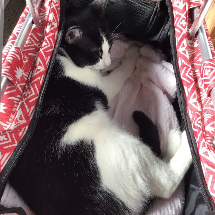 Ebc92404 a37a 4d2d 9824 111aa1edeb7c 1638668514012