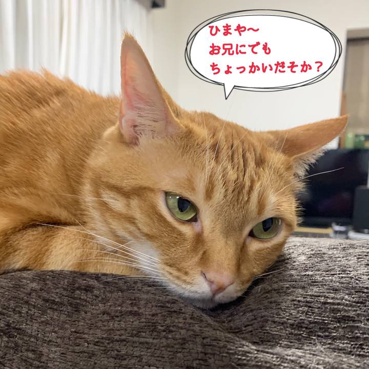 Ebc96971 6cc7 487b 9301 6a39932fd9bf 1623194232361