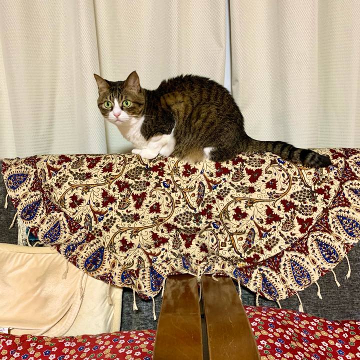 Ebc98b2b ee9e 4770 b4b3 3f8626d9d906 1609763349745