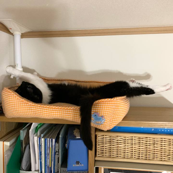 Ebc993c7 affd 41dc 97de 39b65d7fd2da 1592578352483