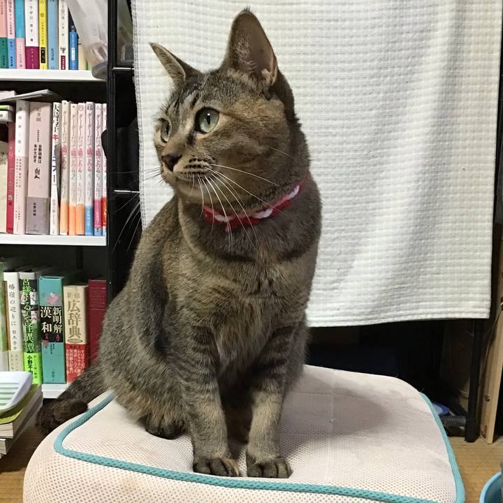 Ebc9aa56 d70a 4c18 a1e5 389244369203 1604219101846