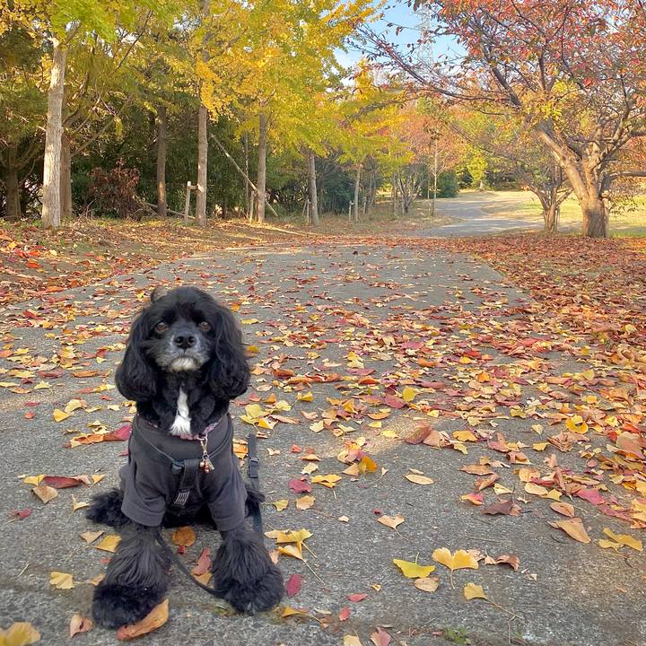 Ebc9aaf1 8093 4da2 a6d5 f2eaee08db64 1668947149600