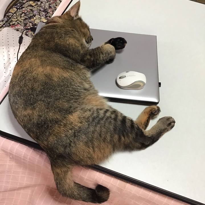 Ebc9e6d9 1ea1 4223 b972 8c1c56390554 1637886580151