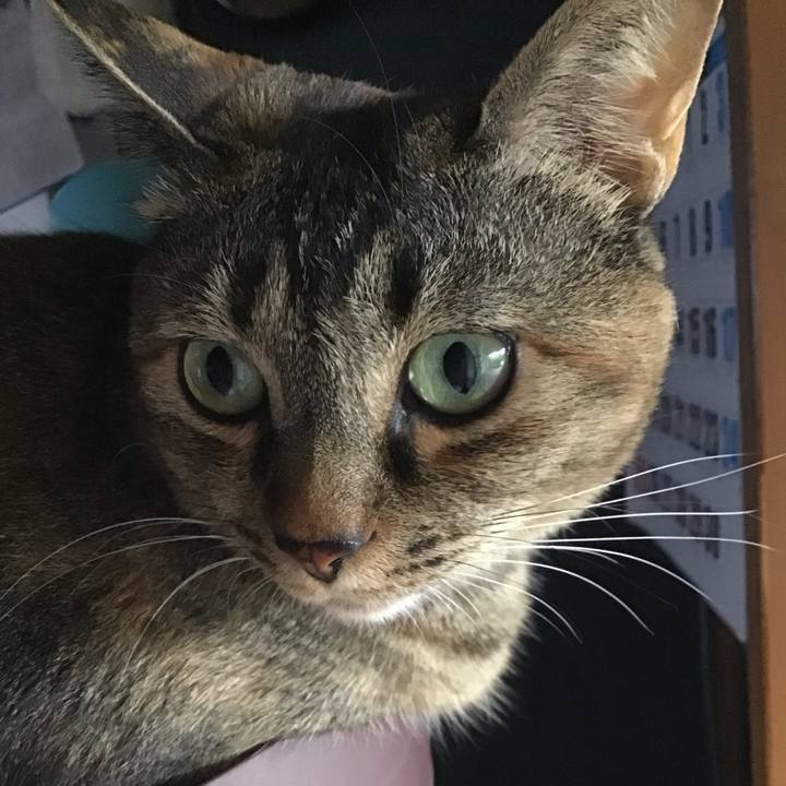 Ebca0007 06e0 47d0 943e 8b93f4ea2885 1687168030277