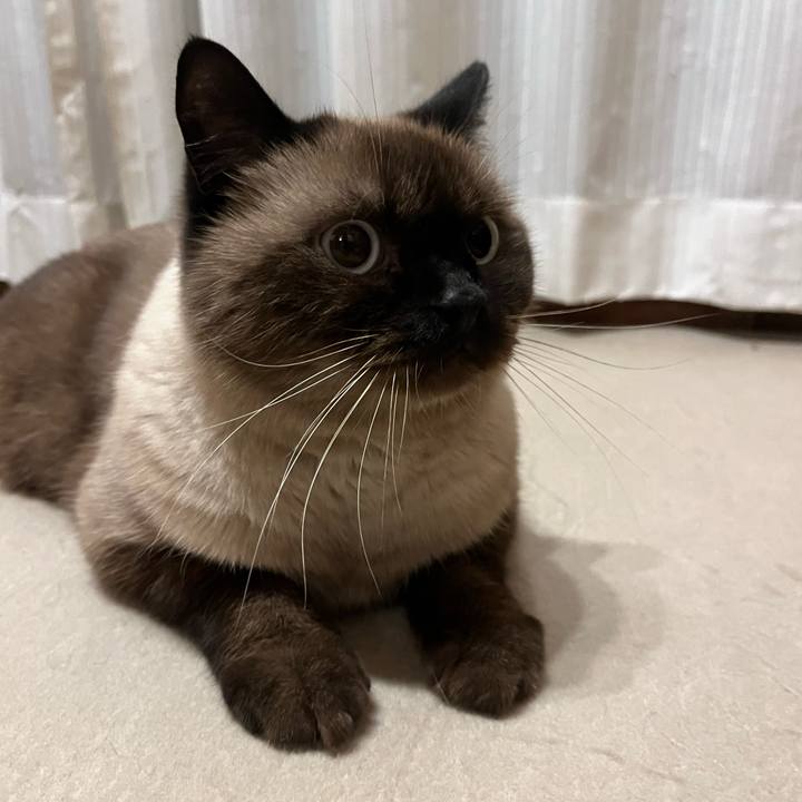 Ebca2612 a2a3 41a8 ab72 79aa6b0c725c 1696939010333