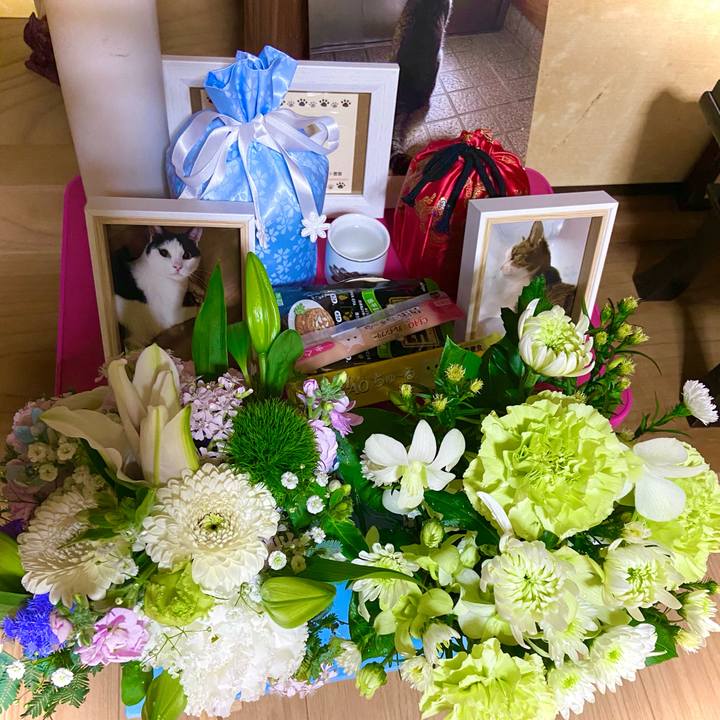 Ebca274e a7a8 4921 9da3 5797d96e8060 1607513808507