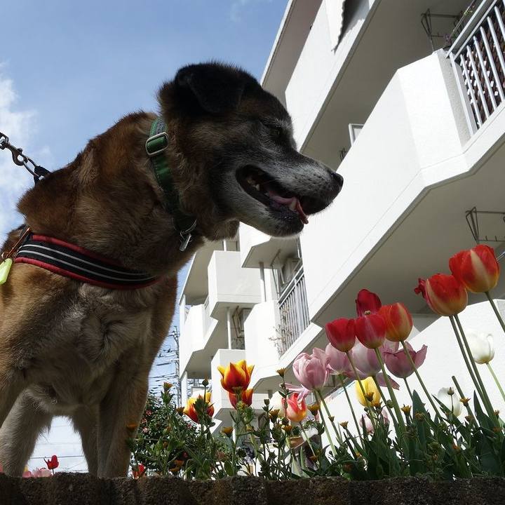 Ebca2d95 bbfd 40c2 bd7c 040025035d90 1523070865039