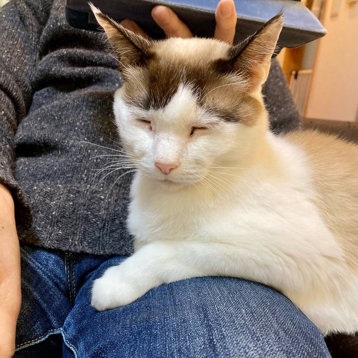 Ebca31fa f07f 4462 8567 7465167595f9 1640940291665