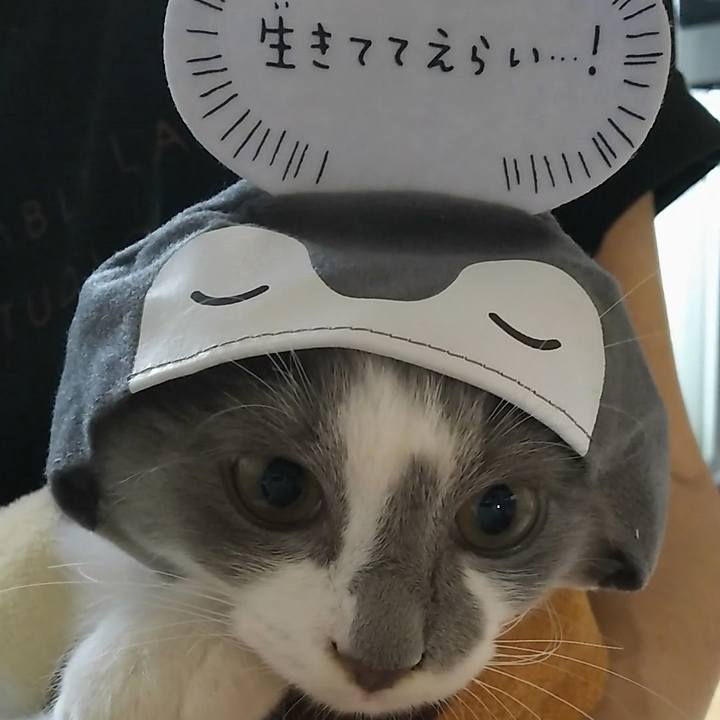 Ebca3b48 b01f 4fcf ab45 3411dd5c4e2f 1565577703360