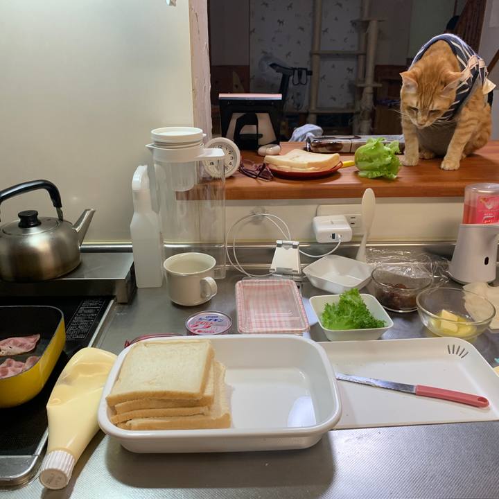 Ebca9ef4 267c 49a5 902d 1b0ce8e1dd4e 1650574760975