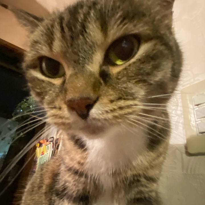 Ebcaa31b 621b 4eb1 a692 43fa43ab8c3d 1627383601515