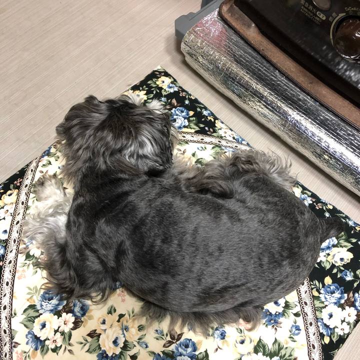 Ebcad8ae 8193 4f33 925f d9a82d200291 1620901096158