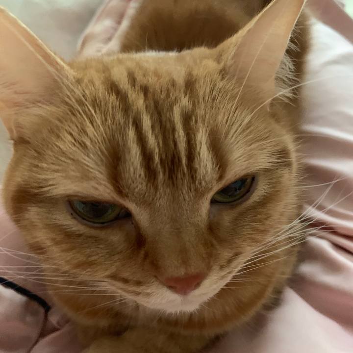 Ebcaee17 062a 4126 b008 1a0f351c7c23 1556335115685