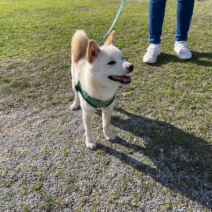 Ebcb59a6 c08e 4864 9f18 cb351fc8215d 1648987111540