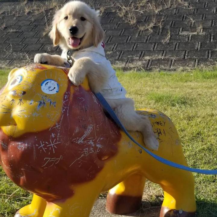 Ebcb8f3d 84e1 4402 9787 18c4750114d3 1609490268260