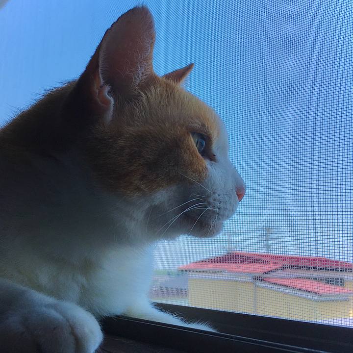 Ebcb9e29 d3db 481f a2de 9597cd59cd9b 1626682964580