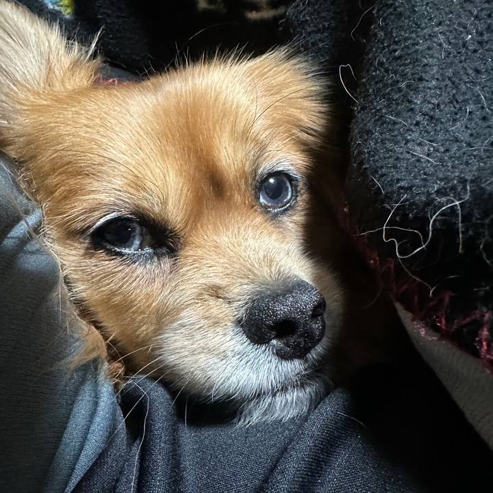 Ebcbaf56 fd83 44a1 98df e9a0e1996501 1701896640905